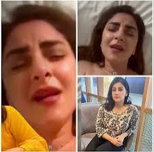 Pakistani anchor mona viral video link, Mona alam anchor hum news, Mona alam viral sex video, Mona alam viral link