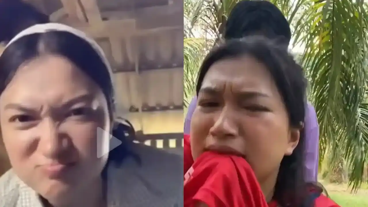 Link Video Viral Kebun Sawit Asli Bikin Penasaran, Video Viral Kebun Sawit Scandal Indonesia